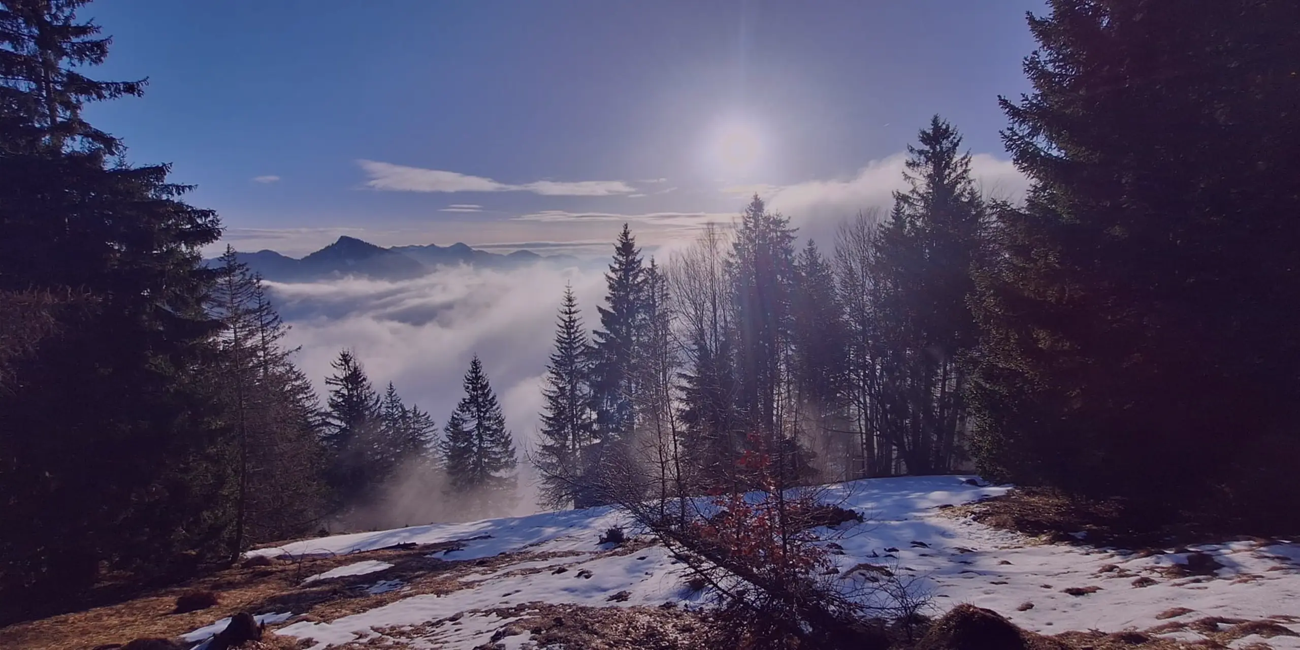 Headerbild Bergspirits